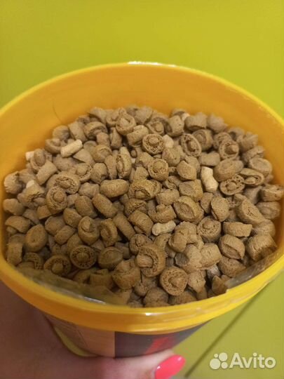 Корм для черепах