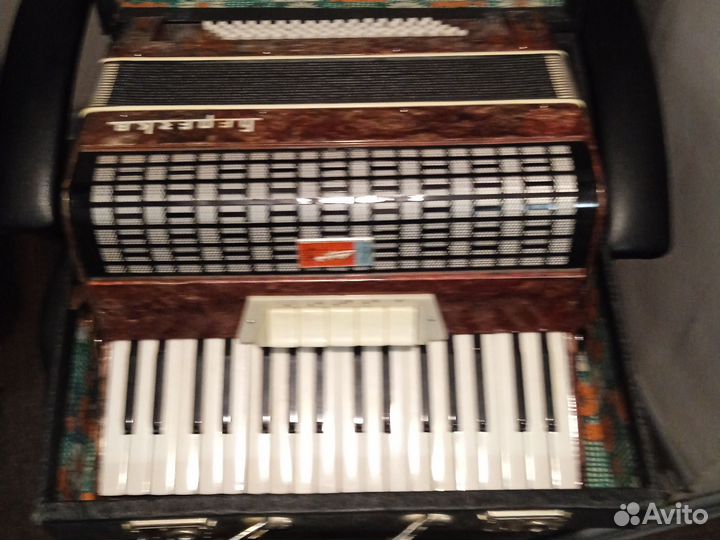 Аккордеон березка