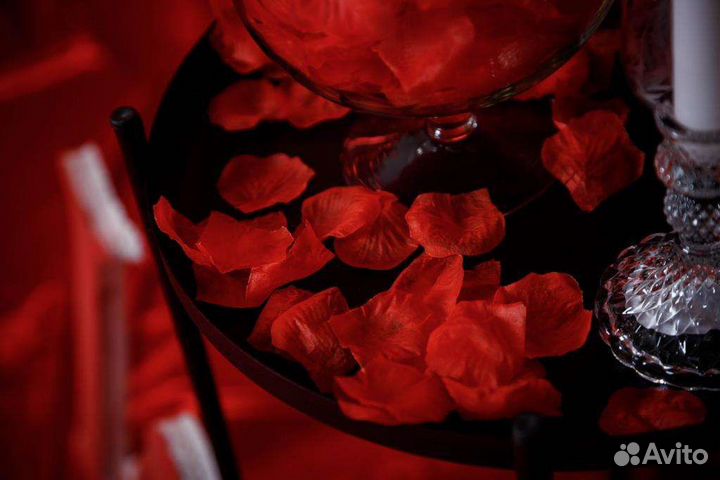 Фотограф с фотостудией