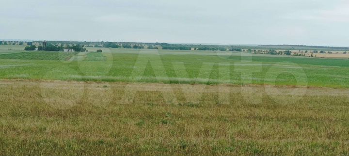 Участок 38 га (СНТ, ДНП)