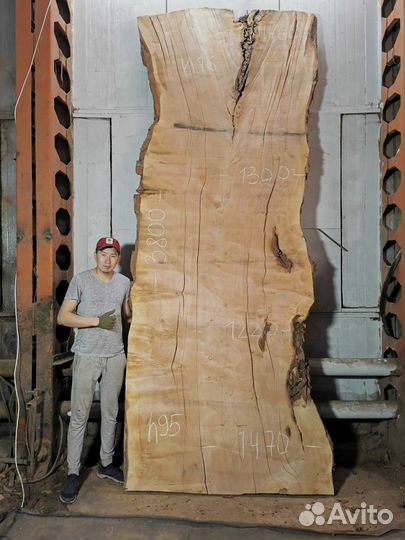Слэбы из дерева карагач и другие породы