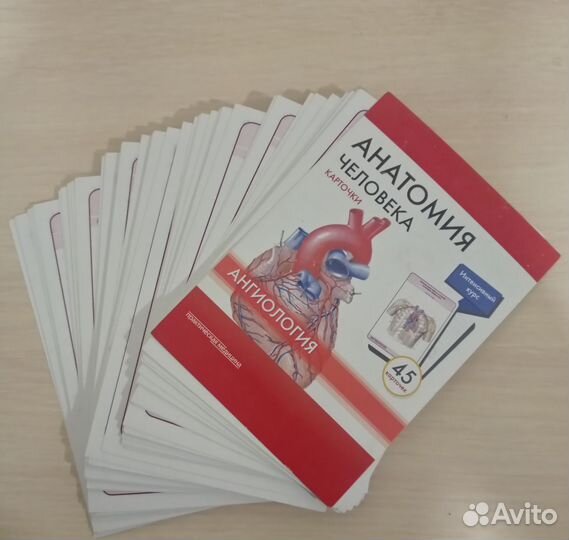 Анатомия Карточки Ангиология
