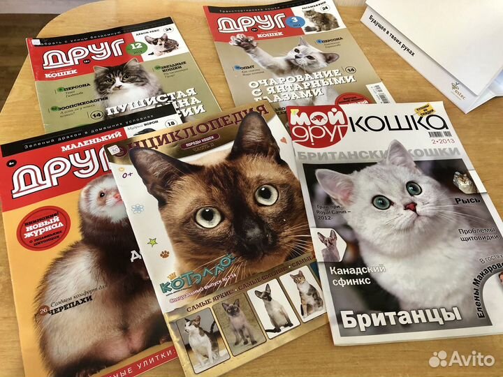 Журналы про кошек