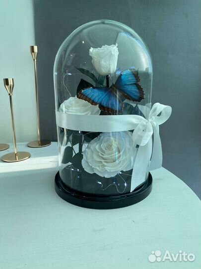 Живая роза в колбе