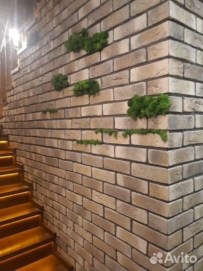 Стабилизированный мох для декора оптом и в розницу