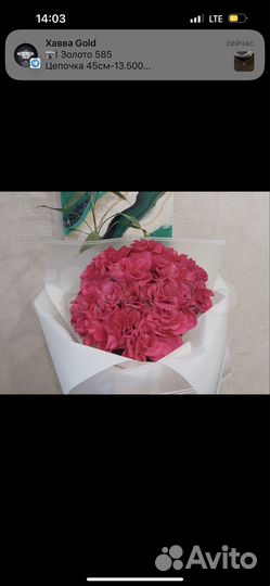 Францзузская роза Сургут Доставка