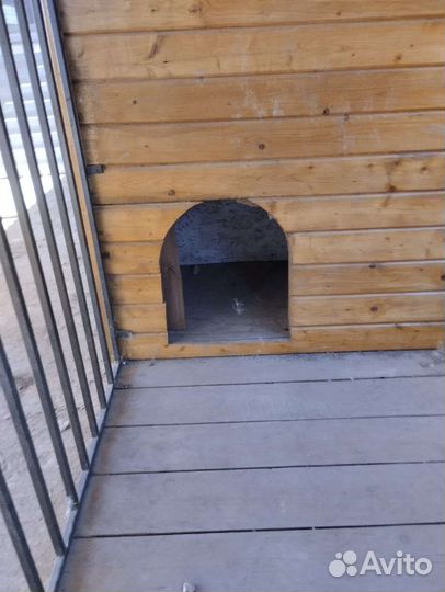 Вольер мини для собак