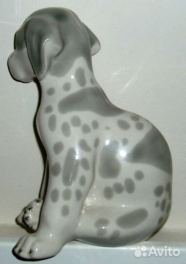 Щенок дога лфз