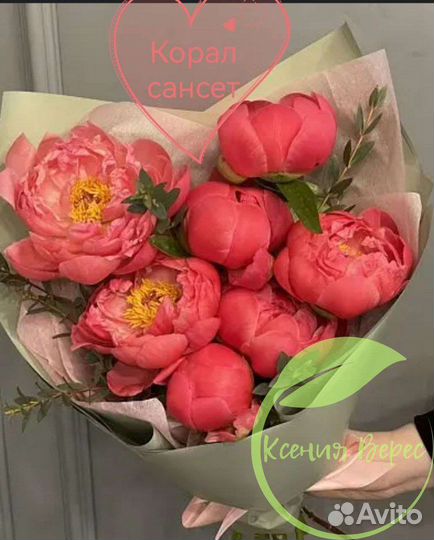 Сортовые пионы и лилии