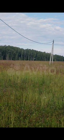 Участок 52 сот. (СНТ, ДНП)