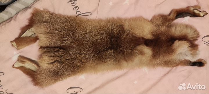 Лисья шкура