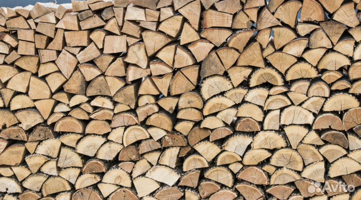 Дрова дубовые