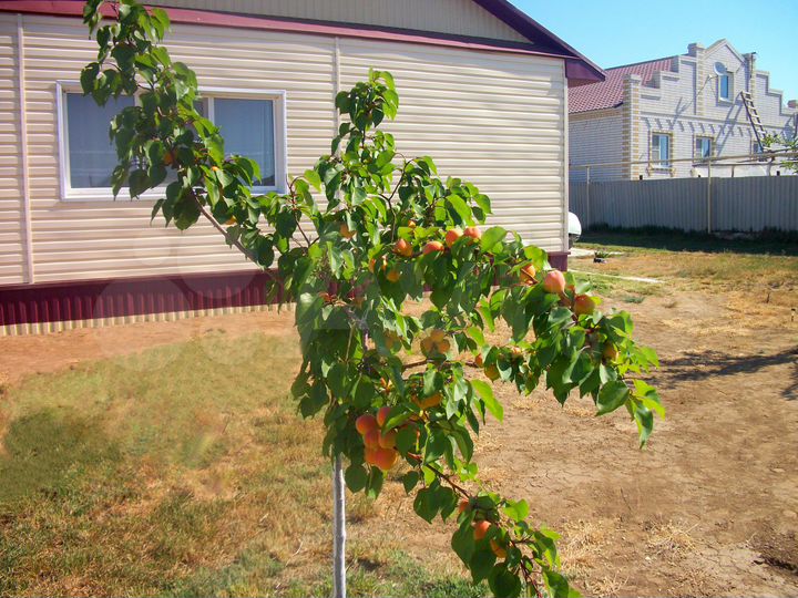 Дом 75,5 м² на участке 10 сот.