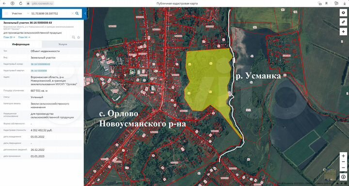 Участок 66,75 га (СНТ, ДНП)