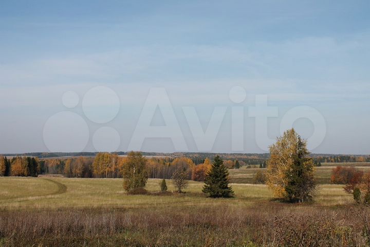 Участок 12,5 сот. (СНТ, ДНП)