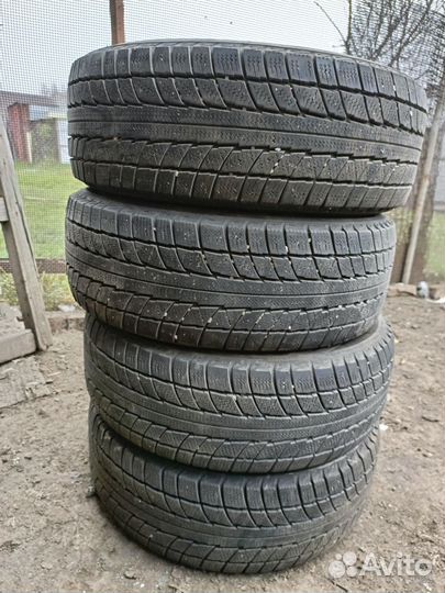 Triangle Snow-LL01 185/65 R14