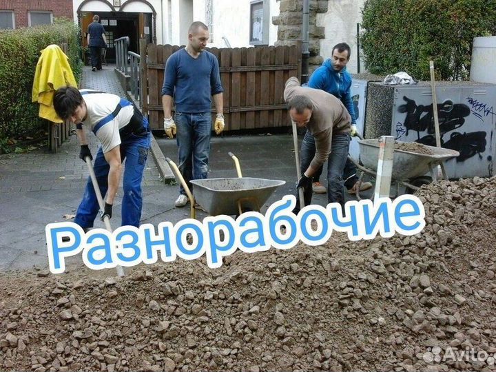 Разнорабочие
