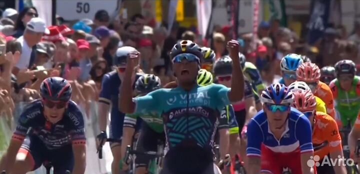 Джерси велосипедная