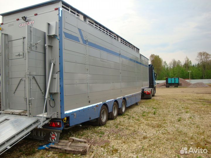 Скотовозы