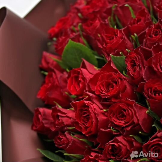 Букет из 101 красных роз Кения 35-40см в матовом