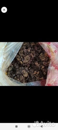 Продам прополис