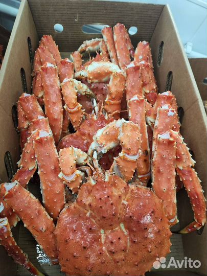 Крабы, клешни крабов, фаланга, салат крабов