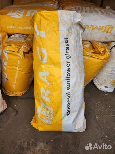 Семена гибридов рапс, подсолничник, кукуруза