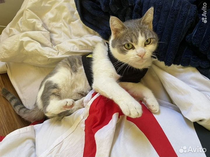 Дуняша-няша ждет свою бабушку