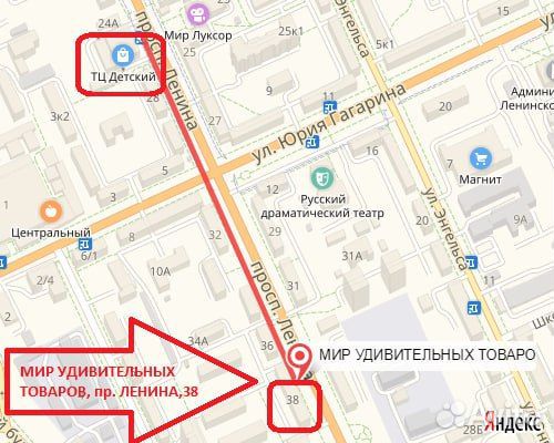 Живая Новогодняя Голубая ель