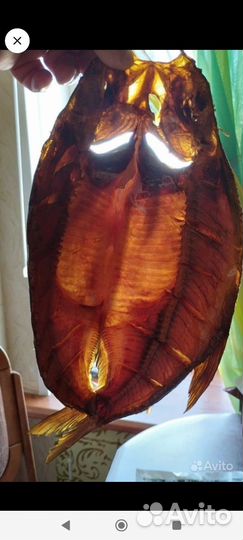 Лещ х/ к, г/ к, скумбрия х/ к, сало х/ к