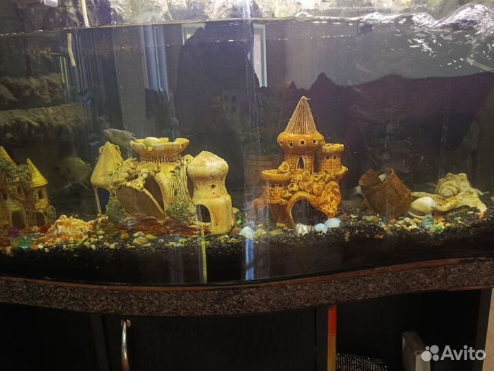 Аквариум