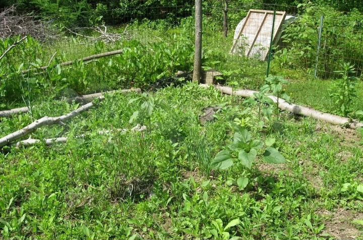 Участок 7 сот. (СНТ, ДНП)