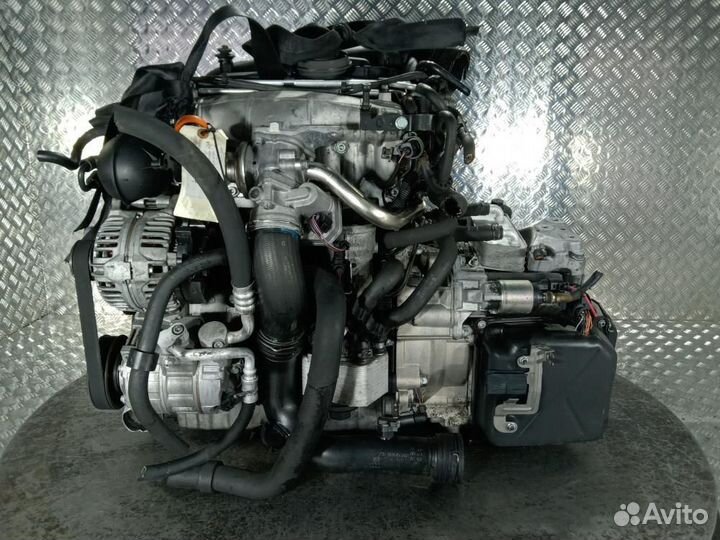 Двигатель Volkswagen Golf 5 (03-09) BKD