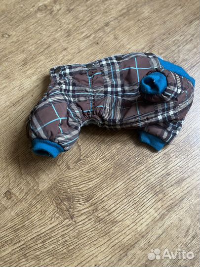 Одежда для собак