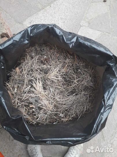 Хвоя сосновая для дачи в мешках
