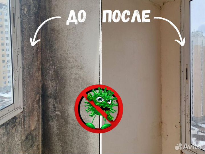 Дезинфекция дезинсекция дератизация