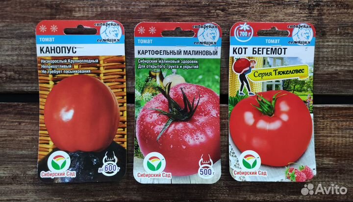 Семена Томатов №8