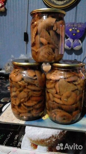 Грибы соленые