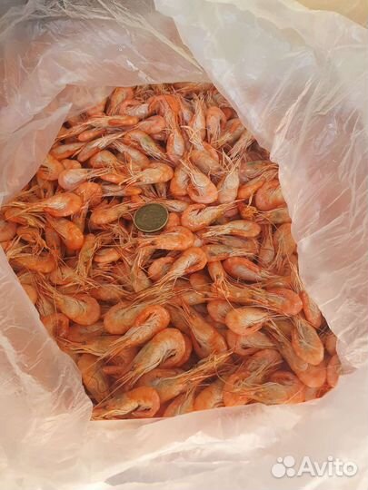 Черноморская-Азовская Креветка от производителя