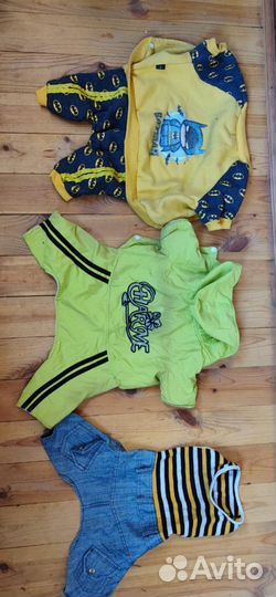 Костюм для собаки