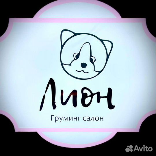 Искупать, постричь, вычесать, услуги ветеринара