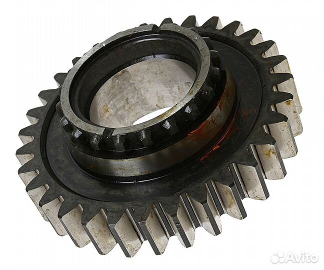 Шестерня кпп мтз вала первичного Z31 руп мтз