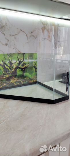 Аквариум угловой