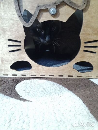 Домик - когтеточка