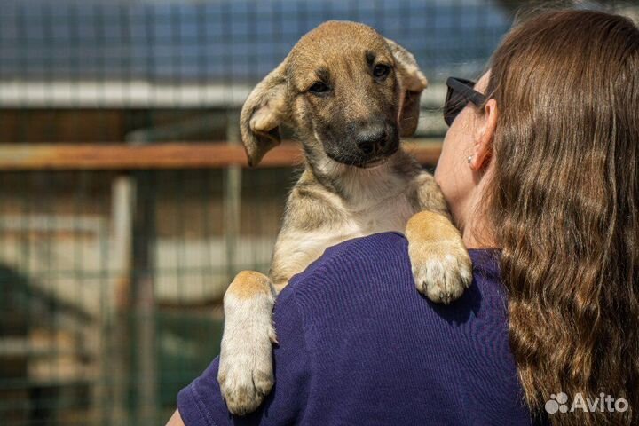 Маленькая красавица Хильда в самые добрые руки