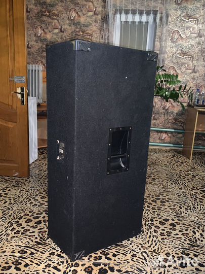 Пассивная акустическая система Biema FP215aiii