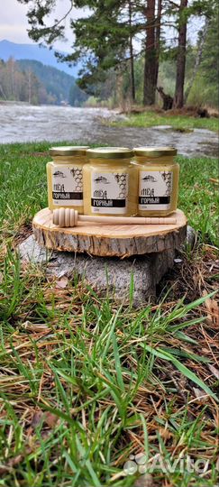 Варенье из сосновых шишек