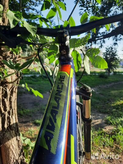 Gt avalanche elite 29