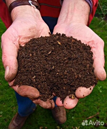 Навоз коровий.Перегной