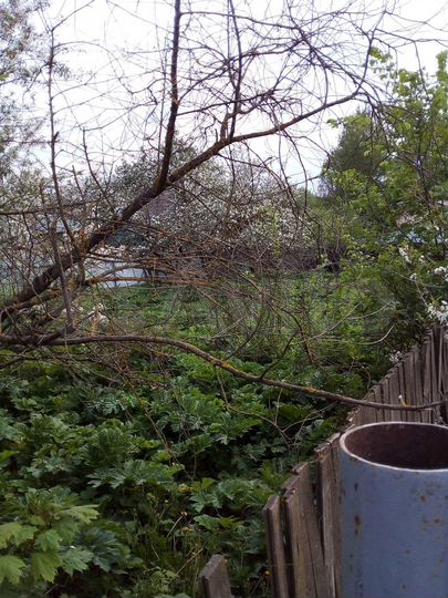 Участок 7 сот. (ИЖС)